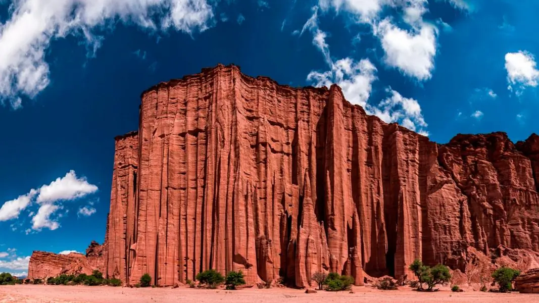 Talampaya & Valle de la Luna