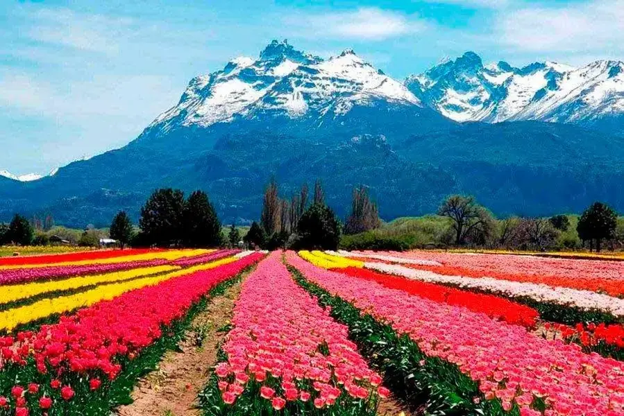 Esquel, Trevelin & Ruta Galesa