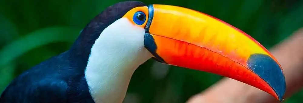 Cataratas & Saltos del Mocona