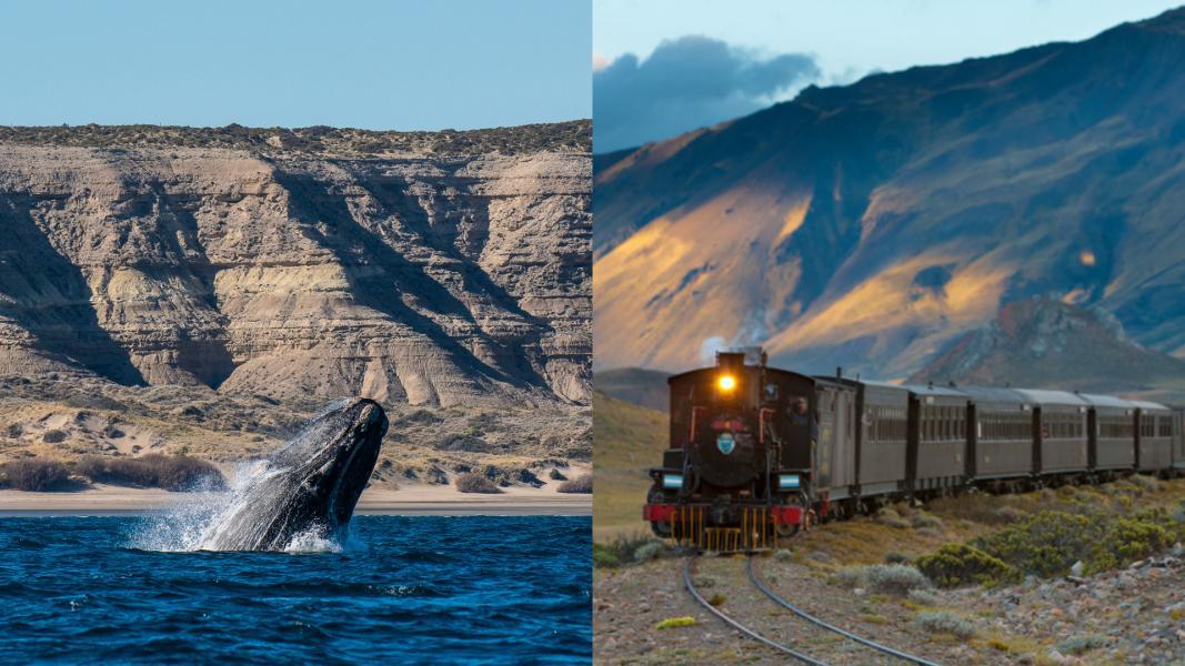 Peninsula Valdes & Esquel